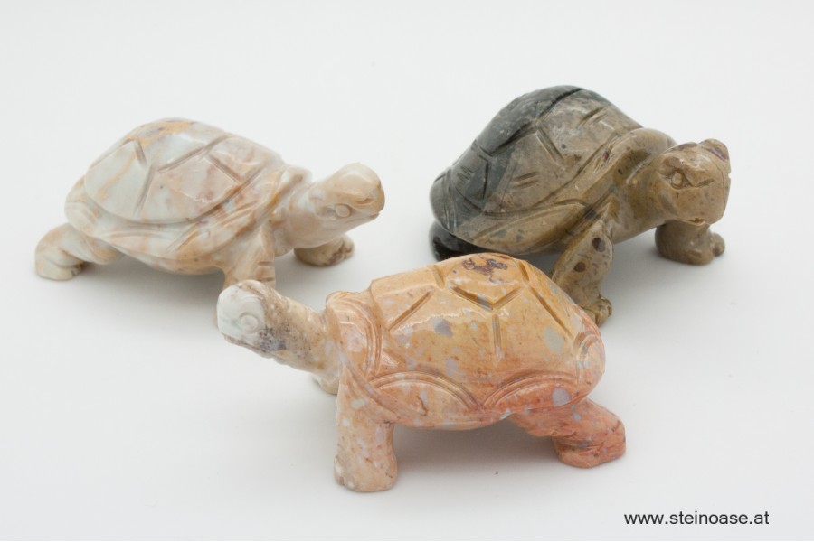 Schildkröte Speckstein Gr.M